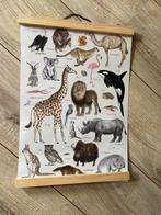 Schoolplaat alfabet en dieren, Antiek en Kunst, Antiek | Schoolplaten, Ophalen of Verzenden, Natuur en Biologie
