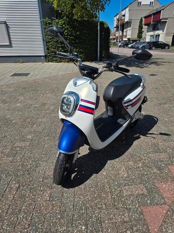 Te koop Nipponia Volty lees advertentie!!! beschikbaar voor biedingen