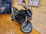 TRIUMPH TIGER 1050 (bj 2007), Bedrijf, 3 cilinders, Sport, 1050 cc