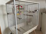 Parkieten kooi dxbxh: 47,5x78x80cm, Dieren en Toebehoren, Vogels | Parkieten en Papegaaien, Mannelijk, Parkiet