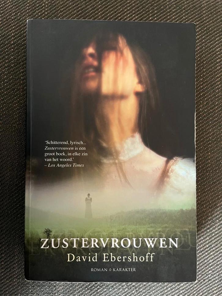 David Ebershoff - Zustervrouwen., Boeken, Romans, Zo goed als nieuw, Ophalen of Verzenden