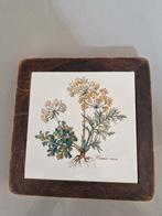 Villeroy & Boch Botanica Onderzetter, Huis en Inrichting, Keuken | Servies, Ophalen of Verzenden, Porselein, Overige stijlen