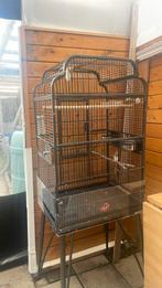 Vogel kooi groot, zwart kleur,, Dieren en Toebehoren, Ophalen, Gebruikt, Metaal, Vogelkooi
