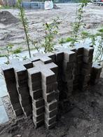Beton tuintegels in kruis-vorm (GRATIS), Tuin en Terras, Tegels en Klinkers, Beton, 5 tot 10 m², Zo goed als nieuw, Ophalen