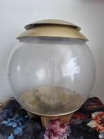 Biorb Halo 30, Ophalen, Gebruikt, Leeg aquarium