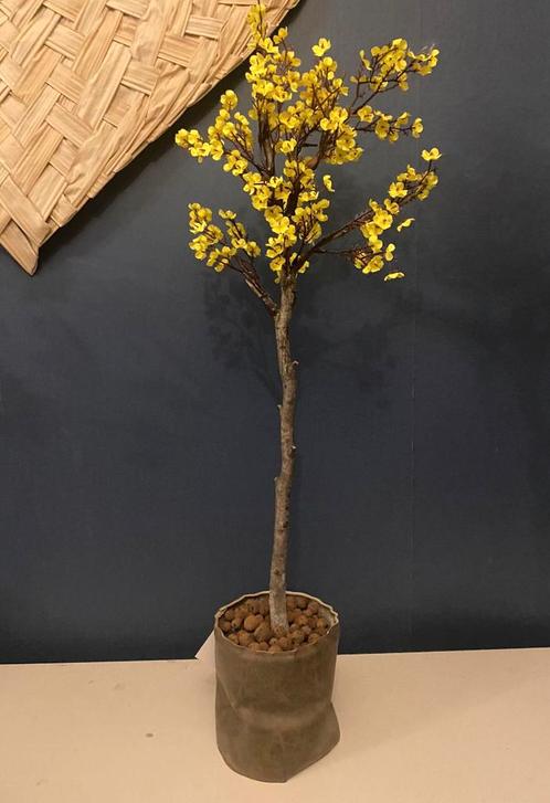 Leuke gele kunstbloemen inclusief pot, Huis en Inrichting, Woonaccessoires | Kunstplanten en Kunstbloemen, Nieuw, Ophalen of Verzenden