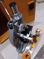 Euromex Biologische Microscoop - Vintage, Ophalen, Gebruikt, 400x tot 1000x, Biologische microscoop