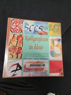 Boek: Kalligraferen in kleur, Boeken, Ophalen of Verzenden, Zo goed als nieuw, Overige onderwerpen