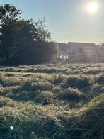 Hooi biologisch, Dieren en Toebehoren, Stalling en Weidegang