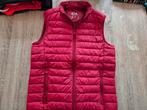 Rode C&A Bodywarmer Maat S, Ophalen of Verzenden, Zo goed als nieuw, Maat 36 (S), C&A