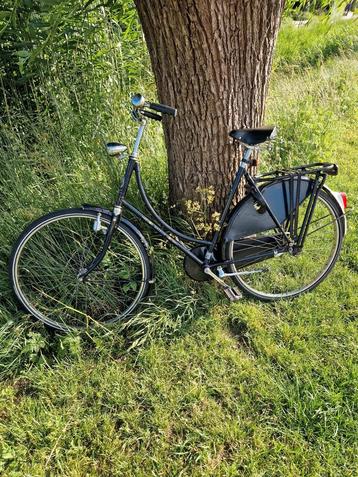 Gazelle Tour Populair beschikbaar voor biedingen