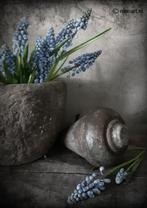 Decoboard met blauwe druifjes AANBIEDING, Huis en Inrichting, Ophalen of Verzenden, Nieuw