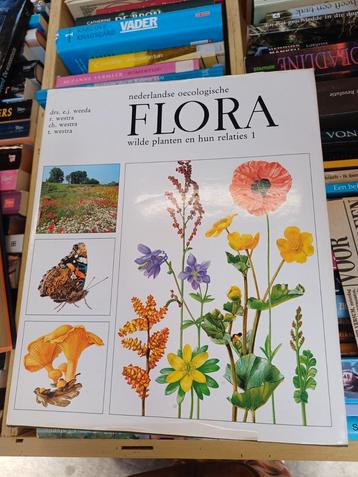 Nederlandse Flora wilde planten en hun relaties deel 1 2 3 4 beschikbaar voor biedingen