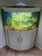 Overcomplete Trigon 190 met LED, Pomp, Co2 en inrichting, Dieren en Toebehoren, Vissen | Aquaria en Toebehoren, Ophalen, Zo goed als nieuw