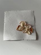Gedroogde hortensia bloem  op canvas papier zie diverse, Ophalen of Verzenden
