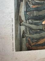 Oude schoolplaat - Het Verbond der Edelen, Antiek en Kunst, Ophalen of Verzenden