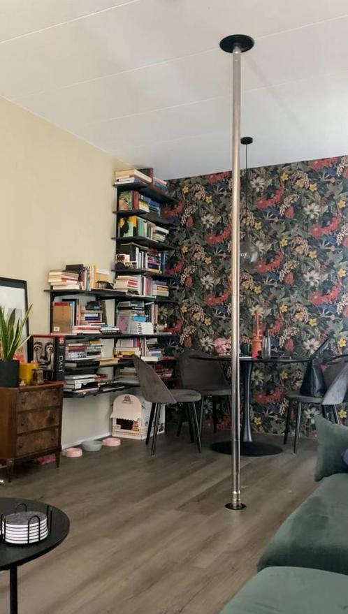 Lupit pole danspaal spin en statisch, Sport en Fitness, Dansen, Zo goed als nieuw, Overige typen, Ophalen