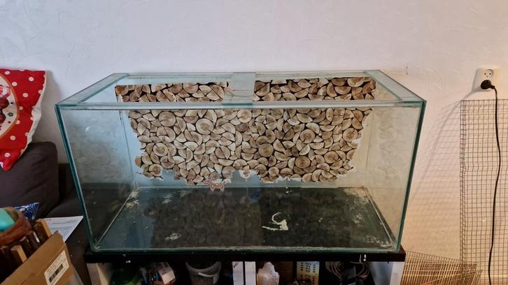 Terrarium hamster, Dieren en Toebehoren, Knaagdieren en Konijnen | Hokken en Kooien, Gebruikt, Hok, Minder dan 60 cm, 75 tot 110 cm