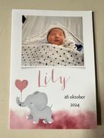Geboortekaartje  Lily 26-10-2024, 42653922-1, foto kaartje, Ophalen of Verzenden, 2000 tot heden, Geboortekaartje