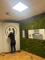 Decoratie Mos, Tuin en Terras, Ophalen