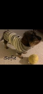 Teckel Truitjes Tweed 🐾, Dieren en Toebehoren, Hondenkleding, Verzenden, Zo goed als nieuw, Hondenjas