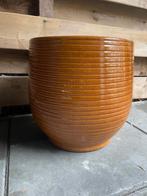 Grote bloempot binnen, okergeel, Rond, Binnen, Zo goed als nieuw, Aardewerk