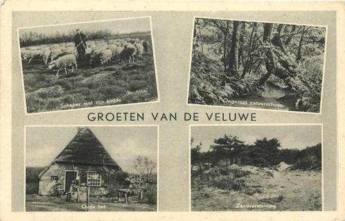 (377-371-005) De Veluwe, Verzamelen, Ansichtkaarten | Nederland, Gelderland, Verzenden