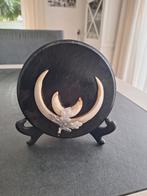 Everzwijn trofee met schild en tanden, Antiek en Kunst, Ophalen of Verzenden