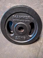 Gietijzeren Halterschijven 2x20kg, Sport en Fitness, Fitnessmaterialen, Ophalen, Zo goed als nieuw, Benen, Halterschijven