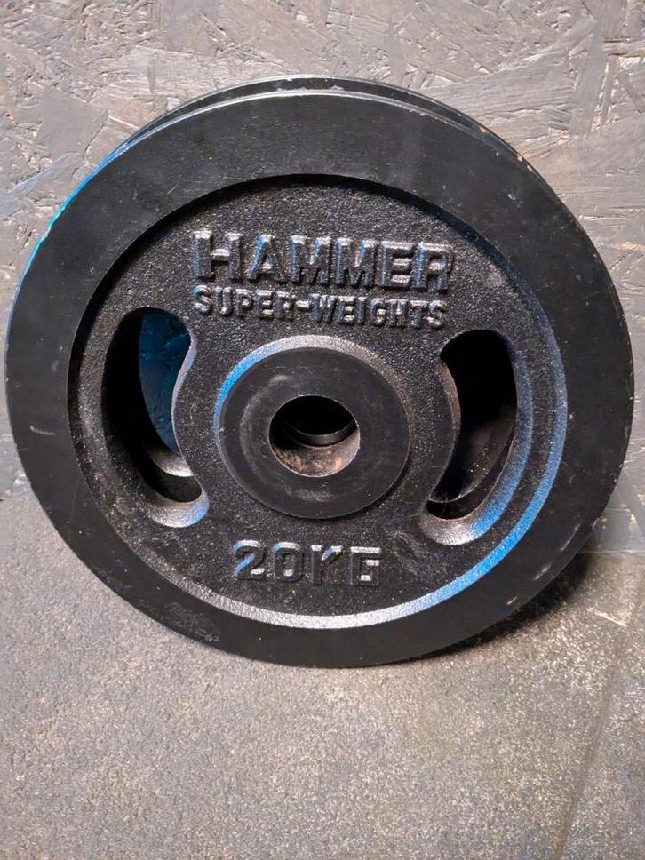 Gietijzeren Halterschijven 2x20kg, Sport en Fitness, Fitnessmaterialen, Zo goed als nieuw, Halterschijven, Armen, Benen, Borst