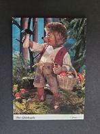 Oude Ansichtkaart - Egel in het Bos, Verzenden