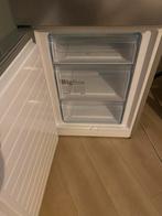 Koelkast met vriesvak - Bosch, Ophalen, 150 tot 200 liter, 60 cm of meer, 160 cm of meer