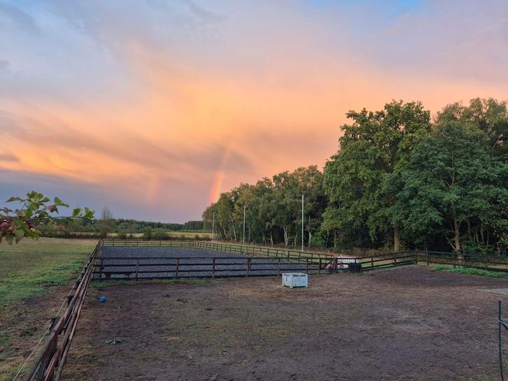 Kleinschalige pensionstalling 1 plek beschikbaar, Dieren en Toebehoren, Stalling en Weidegang