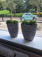 Mooie boot bloempotten set, Tuin en Terras, Bloempotten, 25 tot 40 cm, Gebruikt, Minder dan 40 cm, Overige vormen
