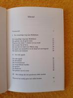 Dreissig - Licht in de lantaarn ZELDZAAM, Ophalen of Verzenden, Zo goed als nieuw, Dreissig, Fictie algemeen