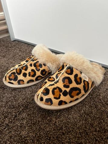 Originele UGG Pantoffels Scuffette II panter print maat 38 beschikbaar voor biedingen