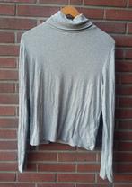 H&M Divided longsleeve met col maat L, H&M, Maat 42/44 (L), Ophalen of Verzenden, Grijs