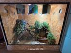 Groot osb3 terrarium te koop, Dieren en Toebehoren, Reptielen en Amfibieën | Toebehoren, Ophalen, Zo goed als nieuw, Terrarium of Paludarium