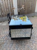 Bakfiets, Ophalen, Gebruikt, Babboe