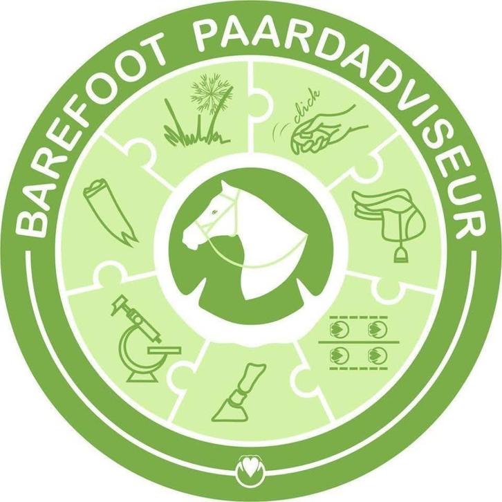 Anatomisch Bekapper en hoefschoenpasser, Diensten en Vakmensen, Dieren | Paarden | Verzorging, Oppas en Les, Gedragstraining, Verzorging of Verzorgpony's