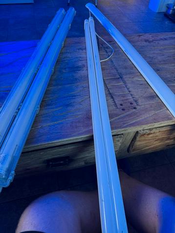 LED Lampen Hornbach - 2 stuks beschikbaar voor biedingen