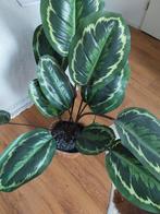 Ikea kunstplant, Ophalen, Zo goed als nieuw, Binnen