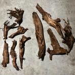 Kienhout, Ophalen of Verzenden, Nieuw, Tak, Plant, Rots of Steen