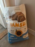 2 zakken kattenvoer Iams kitten vis, Dieren en Toebehoren, Dierenvoeding, Ophalen of Verzenden, Kat