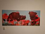 Mooi schilderij met papavers, Ophalen, 50 tot 75 cm, Nieuw, 125 cm of meer