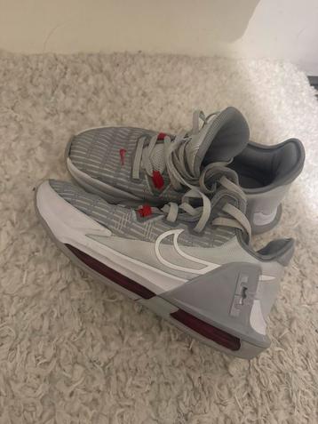 Nike LeBron 19 Low Grijs/Rood - Maat 40 beschikbaar voor biedingen