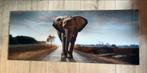 Glas schilderij olifant 125 x 50 cm, Schilderij, 125 cm of meer, Zo goed als nieuw, 50 tot 75 cm
