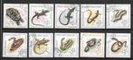 Roemenie 1965  Reptielen, Postzegels en Munten, Postzegels | Thematische zegels, Dier of Natuur, Verzenden, Gestempeld