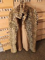 Teddy Jas Panterprint M/L, Maat 38/40 (M), Bruin, Sweet Girl, Ophalen of Verzenden