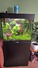 Juwel lido 120, Ophalen, Gebruikt, Gevuld zoetwateraquarium